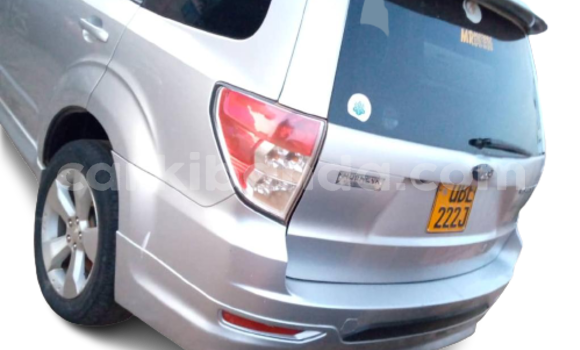 Nunua Ilio tumika Subaru Forester Fedha Gari ndani ya Kampala nchini Uganda Nunua Ilio tumika Subaru Forester Fedha Gari ndani ya Kampala nchini Uganda