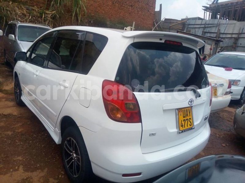 Big with watermark 40932403 2231348903765081 3558490089610805248 o