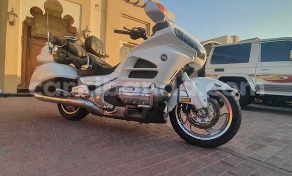 Buy Used Aermacchi Ala Verde Blue Bike in Amudat in Northern Buy Used Aermacchi Ala Verde Blue Bike in Amudat in Northern