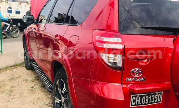 Buy Used Toyota RAV4 Red Car in Kampala in Uganda Buy Used Toyota RAV4 Red Car in Kampala in Uganda