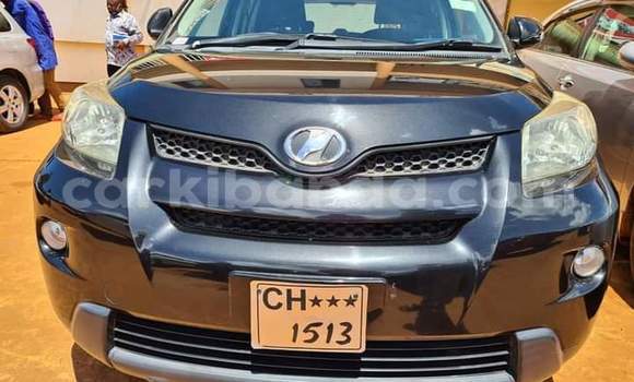 Buy Used Toyota IST Other Car in Kampala in Uganda