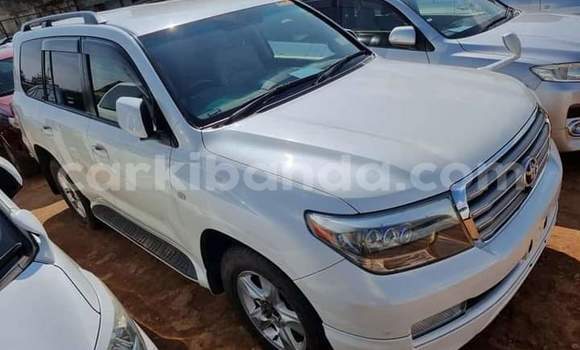Acheter Occasion Voiture Toyota Land Cruiser Blanc à Kampala, Ouganda Acheter Occasion Voiture Toyota Land Cruiser Blanc à Kampala, Ouganda