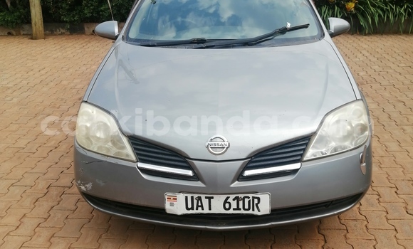 Buy Used Nissan Primera Silver Car in Kampala in Uganda
