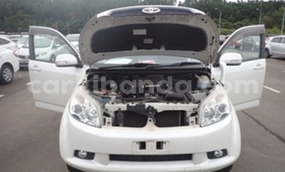 Buy Used Toyota Rush White Car in Kampala in Uganda Buy Used Toyota Rush White Car in Kampala in Uganda