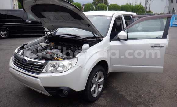 Gura Imported Subaru Forester White Imodoka i Kampala mu Uganda Gura Imported Subaru Forester White Imodoka i Kampala mu Uganda