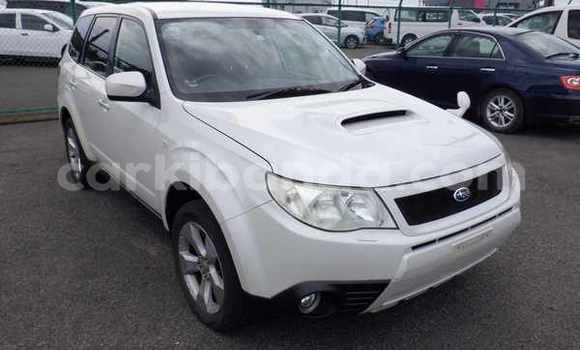 Buy Import Subaru Forester White Car in Kampala in Uganda Buy Import Subaru Forester White Car in Kampala in Uganda