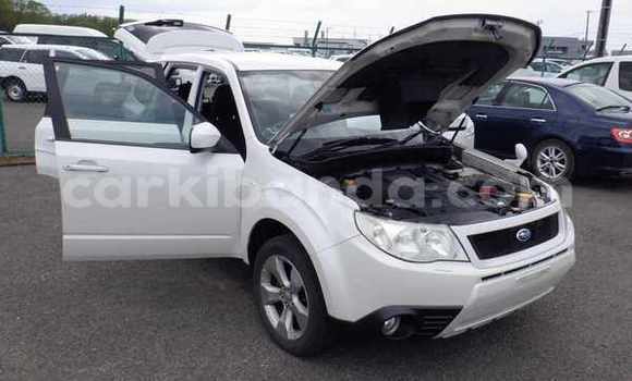 Buy Import Subaru Forester White Car in Kampala in Uganda Buy Import Subaru Forester White Car in Kampala in Uganda