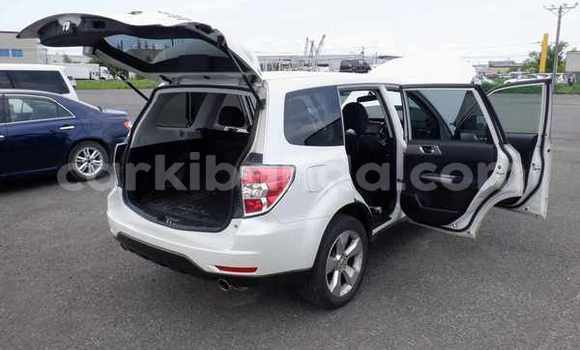 Buy Import Subaru Forester White Car in Kampala in Uganda Buy Import Subaru Forester White Car in Kampala in Uganda