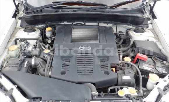 Buy Import Subaru Forester White Car in Kampala in Uganda Buy Import Subaru Forester White Car in Kampala in Uganda