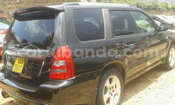 Buy Used Subaru Forester Black Car in Kampala in Uganda Buy Used Subaru Forester Black Car in Kampala in Uganda