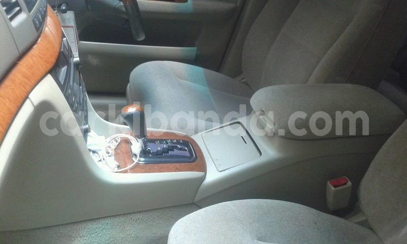 Big with watermark 41685502 1961838177209611 5916444611336732672 n