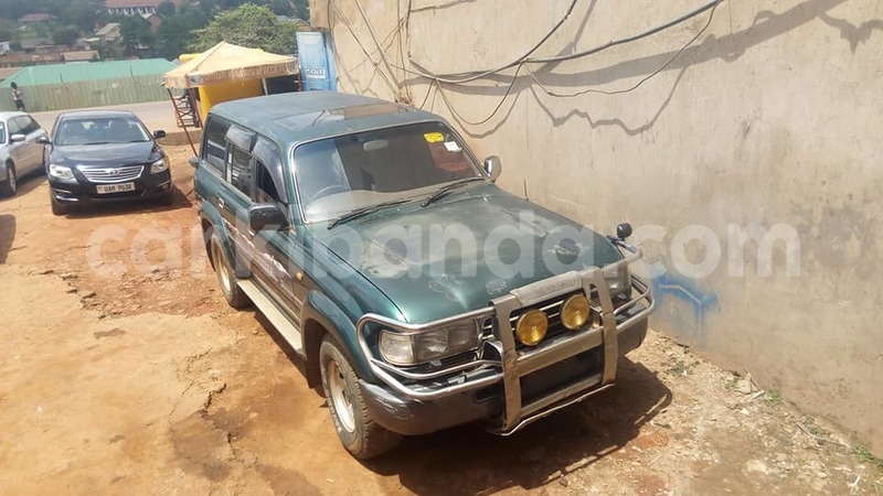 Big with watermark 41652905 1963310157063863 3586974639135391744 n