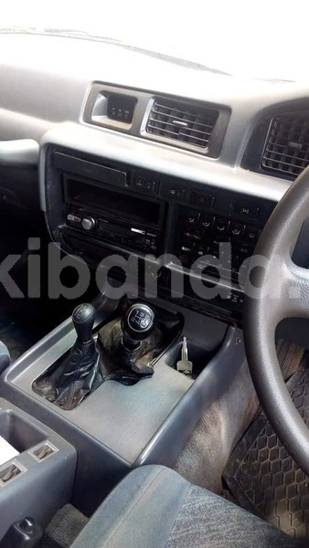 Big with watermark 41632335 1963309927063886 3152042190335639552 n