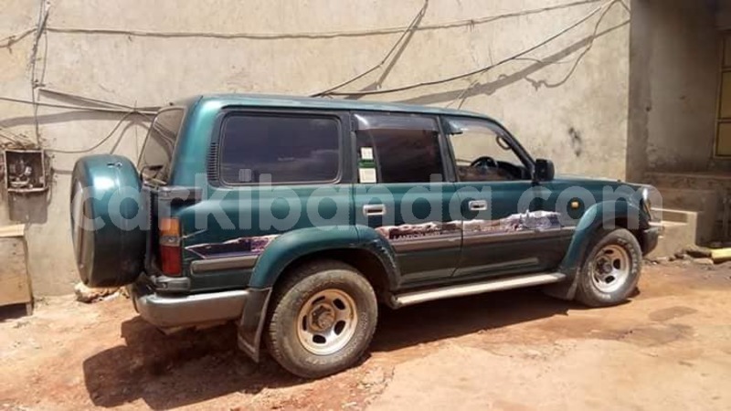 Big with watermark 41617472 1963309690397243 8679193100561678336 n