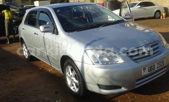 Buy Used Toyota Allex Silver Car in Kampala in Uganda Buy Used Toyota Allex Silver Car in Kampala in Uganda
