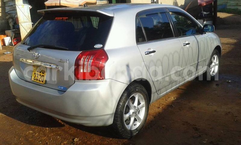 Big with watermark 41748668 1961839497209479 7552150938576748544 n