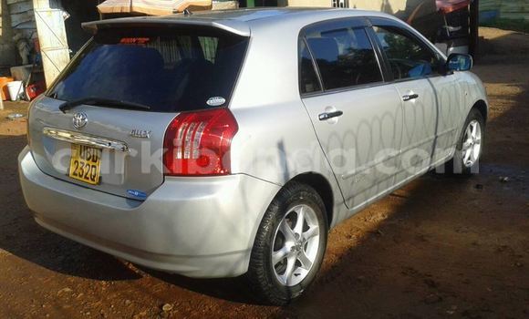 Buy Used Toyota Allex Silver Car in Kampala in Uganda Buy Used Toyota Allex Silver Car in Kampala in Uganda