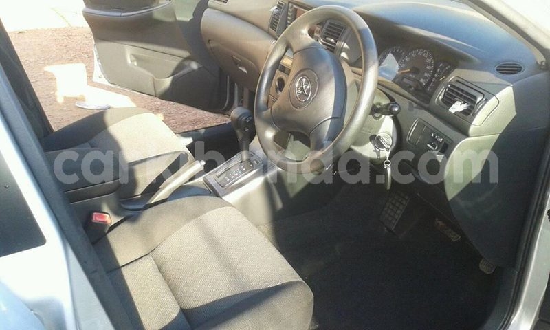 Big with watermark 41733131 1961839490542813 4653425953718927360 n