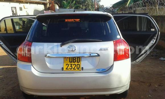 Buy Used Toyota Allex Silver Car in Kampala in Uganda Buy Used Toyota Allex Silver Car in Kampala in Uganda