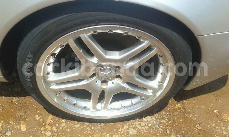 Big with watermark 41729979 1961835987209830 7023065621168390144 n