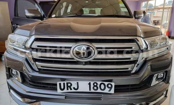 Buy Used Toyota Land Cruiser Brown Car in Kampala in Uganda