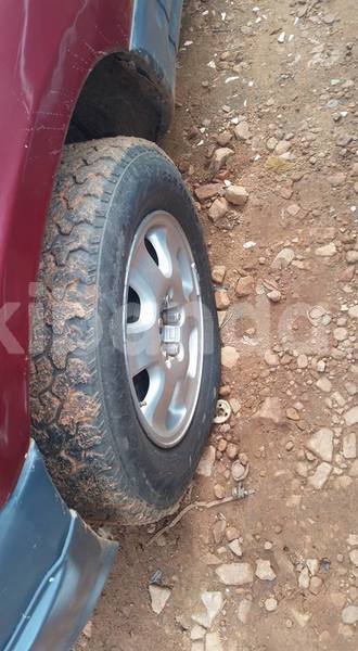 Big with watermark 41656719 1026851584163590 5618235810680668160 n