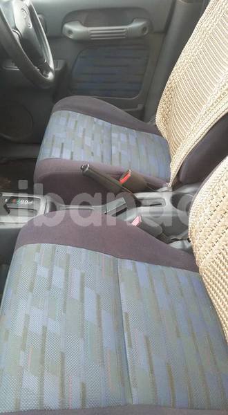 Big with watermark 41489478 1026851537496928 8767006777830014976 n