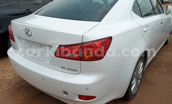 Acheter Import Voiture Lexus IS Blanc à Kampala, Ouganda Acheter Import Voiture Lexus IS Blanc à Kampala, Ouganda