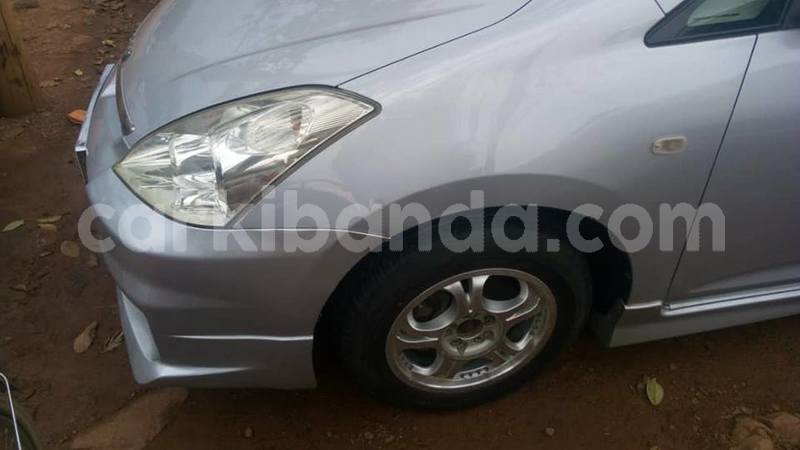 Big with watermark 41627628 2264218953820439 516258955924602880 n