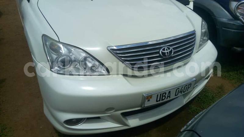 Big with watermark 41521134 2262809613961373 6392099010869460992 n