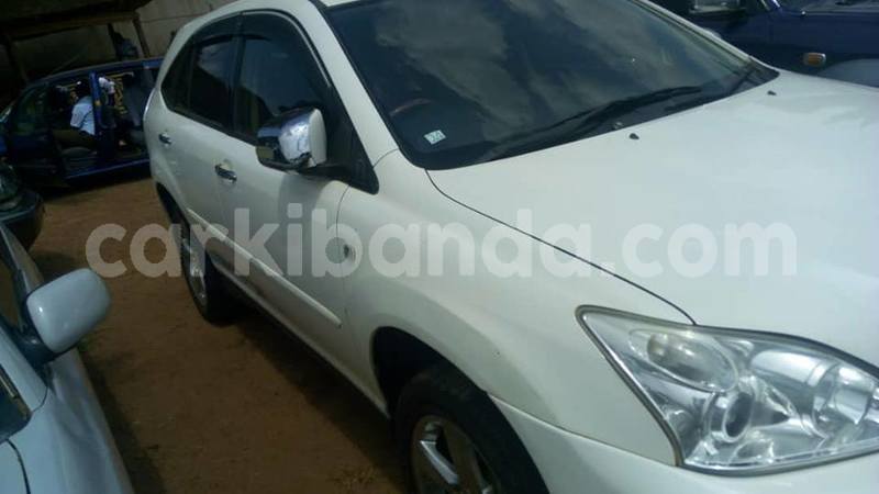 Big with watermark 41384873 2262809540628047 6079088090759036928 n