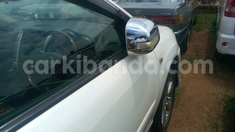 Big with watermark 41467967 2262809180628083 6201624581455740928 n