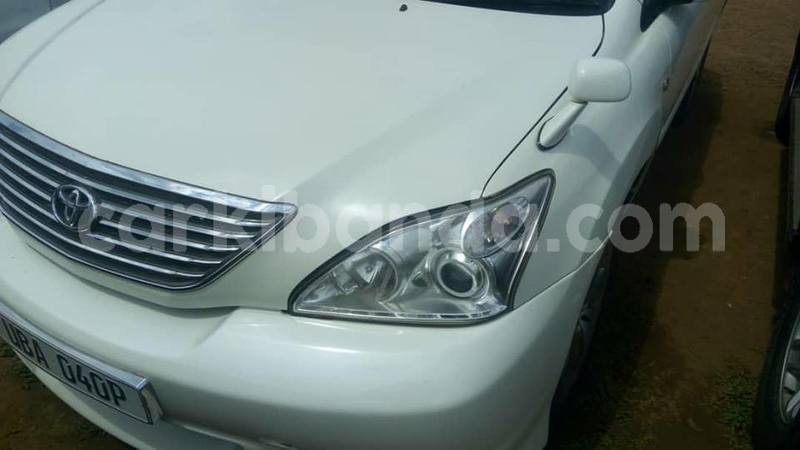 Big with watermark 41476451 2262809087294759 3643769920858095616 n