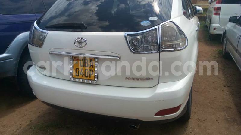 Big with watermark 41530639 2262809050628096 4224477601248313344 n