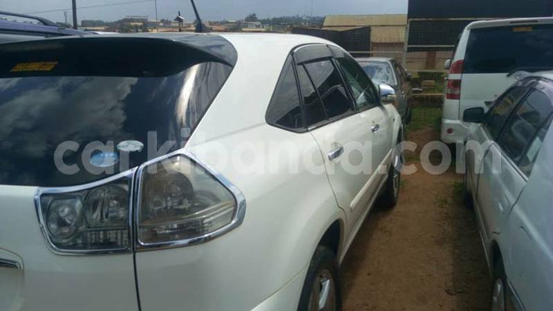 Big with watermark 41522503 2262807613961573 7247220844814925824 n