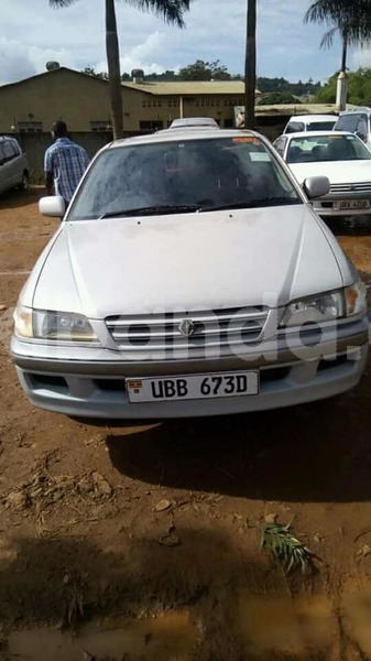 Big with watermark 37013518 2192393021003033 2602823483582840832 n