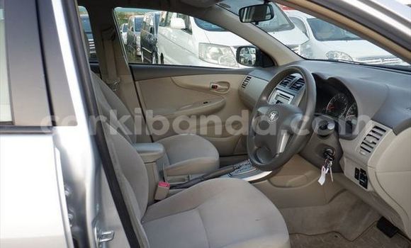 Buy Import Toyota Corolla Silver Car in Kampala in Uganda Buy Import Toyota Corolla Silver Car in Kampala in Uganda