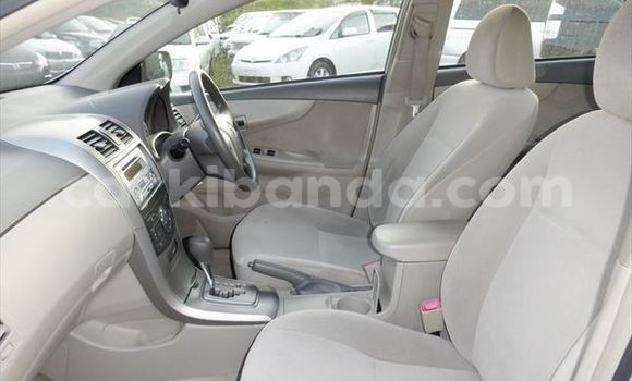 Buy Import Toyota Corolla Silver Car in Kampala in Uganda Buy Import Toyota Corolla Silver Car in Kampala in Uganda