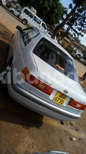 Big with watermark 37022184 2192393084336360 1114252019960381440 n