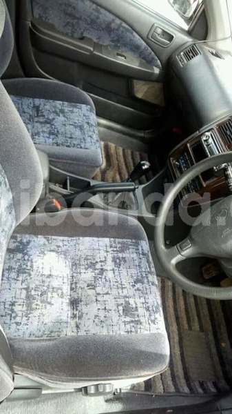 Big with watermark 37003640 2192393147669687 2028868273465982976 n