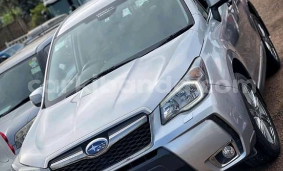 Buy Used Subaru Forester Silver Car in Kampala in Uganda