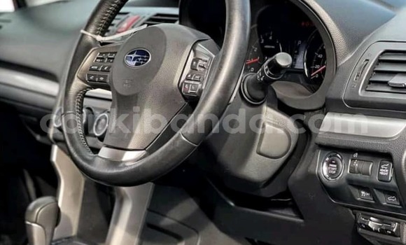 Buy Used Subaru Forester Silver Car in Kampala in Uganda Buy Used Subaru Forester Silver Car in Kampala in Uganda