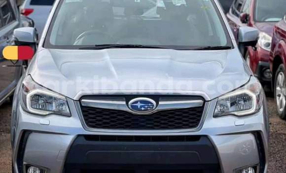 Buy Used Subaru Forester Silver Car in Kampala in Uganda Buy Used Subaru Forester Silver Car in Kampala in Uganda