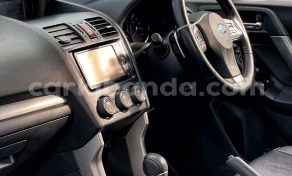 Buy Used Subaru Forester Silver Car in Kampala in Uganda Buy Used Subaru Forester Silver Car in Kampala in Uganda