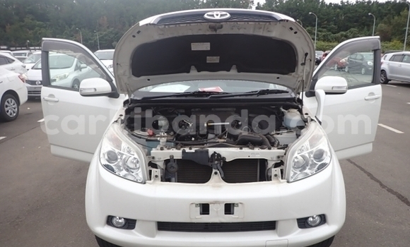 Buy New Toyota Rush White Car in Kampala in Uganda Buy New Toyota Rush White Car in Kampala in Uganda