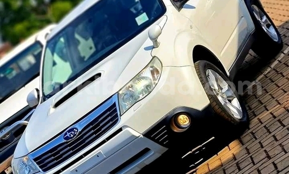 Acheter Occasion Voiture Subaru Forester Blanc à Kampala, Ouganda Acheter Occasion Voiture Subaru Forester Blanc à Kampala, Ouganda