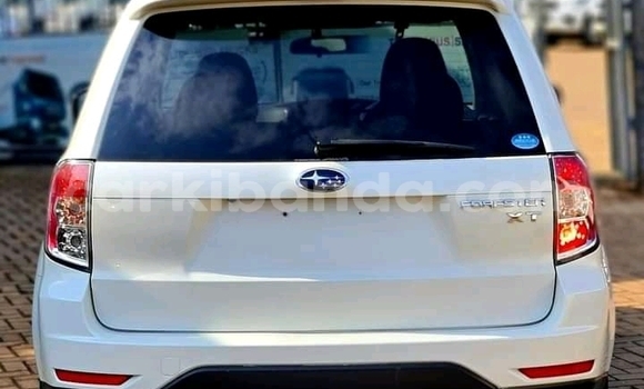 Acheter Occasion Voiture Subaru Forester Blanc à Kampala, Ouganda Acheter Occasion Voiture Subaru Forester Blanc à Kampala, Ouganda