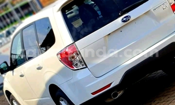 Acheter Occasion Voiture Subaru Forester Blanc à Kampala, Ouganda Acheter Occasion Voiture Subaru Forester Blanc à Kampala, Ouganda