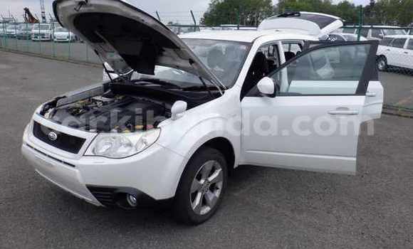 Buy New Subaru Forester White Car in Kampala in Uganda Buy New Subaru Forester White Car in Kampala in Uganda