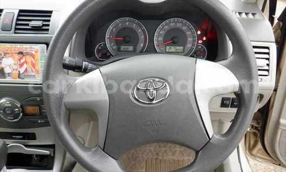 Buy New Toyota Corolla Beige Car in Kampala in Uganda Buy New Toyota Corolla Beige Car in Kampala in Uganda